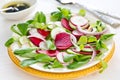 Beetroot and radish salad Royalty Free Stock Photo