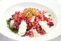 Beetroot Risotto Royalty Free Stock Photo