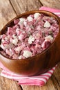 Beetroot Salad Dip With Greek Yogurt Patzarosalata closeup in the bowl. vertical Royalty Free Stock Photo