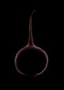 Beetroot silhouette isolated over black Royalty Free Stock Photo