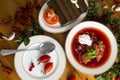 Beetroot soup called borsch Royalty Free Stock Photo