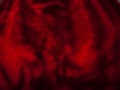 Beetroot slice : dark red background