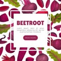 Beetroot Vegetable Crop Banner Design Design Vector Template