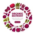 Beetroot Vegetable Crop Banner Design Design Vector Template