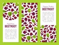 Beetroot Vegetable Crop Banner Design Design Vector Template