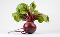 Beetroot White Background Royalty Free Stock Photo