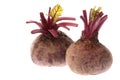 Beetroots Isolated