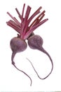 Beetroots