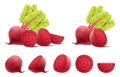 Beetroots isolated on white background. Fresh red beetroot whole, half, quarters and slices with leaves. Realistic 3d vector Royalty Free Stock Photo