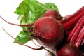 Beets Royalty Free Stock Photo