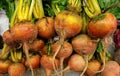 Golden Beets Royalty Free Stock Photo