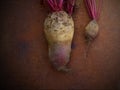 Beets red big and small Royalty Free Stock Photo
