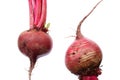Beets Royalty Free Stock Photo