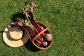Beets in wicker basket and straw hat on green grass, top view. Space for text Royalty Free Stock Photo