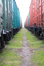 Beetween two freight trains Royalty Free Stock Photo
