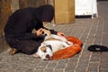 Beggar, His Dog and Rat Royalty Free Stock Photo