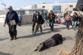 A beggar man lies on the pavement asking for alms. The crowd is passing by. Central bus station Royalty Free Stock Photo