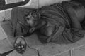 Beggar man sleeping in the streets of Santo Domingo, Dominican Republic