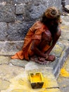 Beggar Sadhu Royalty Free Stock Photo