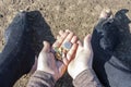 Beggar woman in torn clothes with iron coins in the palms on the dirty ground. Poverty and homelessness Royalty Free Stock Photo