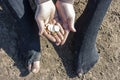 Beggar woman in torn clothes with iron coins in the palms on the dirty ground. Poverty and homelessness Royalty Free Stock Photo