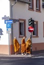 begging monks cross a street in their typical orange dress in the morning with baskets to collect food