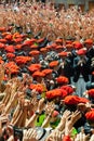 Begining of San Fermin feast