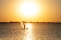 A beginner windsurfer woman stands on a board with a sail on a sunset background. Windsurfing school Royalty Free Stock Photo