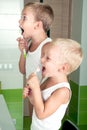 Two brothers brush teeth in the bathroom.The beginning of a new day