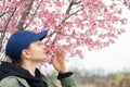 Beginning of Spring. Beautiful woman enjoying nature blooming tree Royalty Free Stock Photo