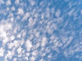 The beginning of spring. The clouds are floating against the blue sky Royalty Free Stock Photo