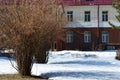 The beginning of spring, thawed patches in the snow under the trees, naked flowering bushes in the garden opposite the building Royalty Free Stock Photo