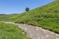 the beginning of summer , the sources of the mountain river walking along the canyon , relaxing in the mountains.