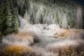 Beginning of winter Easley Creek idaho