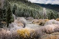 Beginning of winter Easley Creek idaho