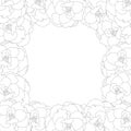 Begonia Flower, Picotee Outline Border. Vector Illustration Royalty Free Stock Photo