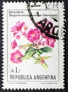 Begonia Begonia micranthera in vintage stamp