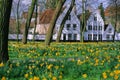 The beguinage of Bruges Royalty Free Stock Photo