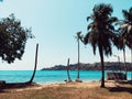 Behead coconut trees due to ocean wind at corbyns cove beach at Andaman