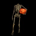 Beheaded Skeleton with Pumpkin