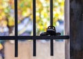 Behind bars deprived of freedom Royalty Free Stock Photo