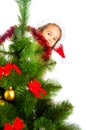 Behind Christmas tree Royalty Free Stock Photo