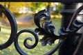 Behind the fence is a park, a lamppost, a bridge. Forged fence close-up. Moscow