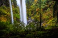 Behind North Falls Cavern, Silver Falls State Park, Oregon Royalty Free Stock Photo