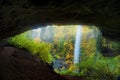 Behind North Falls in Silver Falls State Park Royalty Free Stock Photo