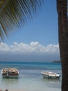 Behind the palm trees, the heavenly turquoise sea with two boats