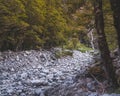 Behind the Christie Falls Parking (Milford Sound Highway, South Island, New Zealand) Royalty Free Stock Photo