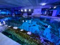 The behind the scenes look at the manta ray aquarium at Seaworld in Orlando, Florida