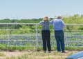 Behind senior American couple watching bluebonnets blooming field over ranch fence in Texas