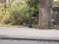Behind the tree is radar trap for speed monitoring Royalty Free Stock Photo